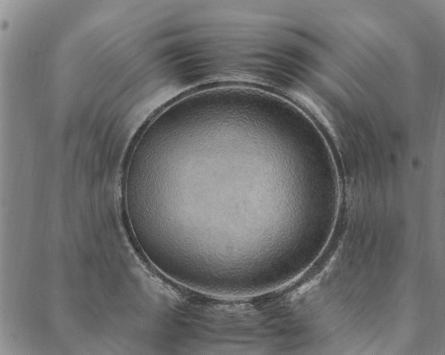X0000090451133200707131221