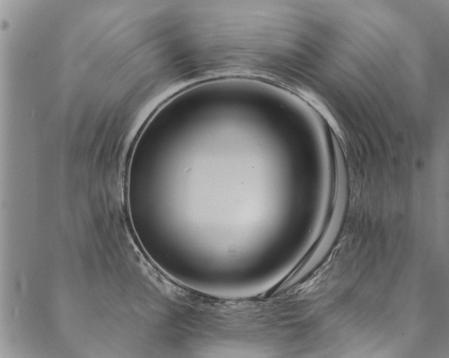 X0000090451148200707131222