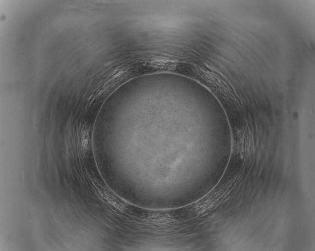 X0000090451154200707131221