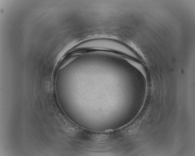 X0000090451173200707131221