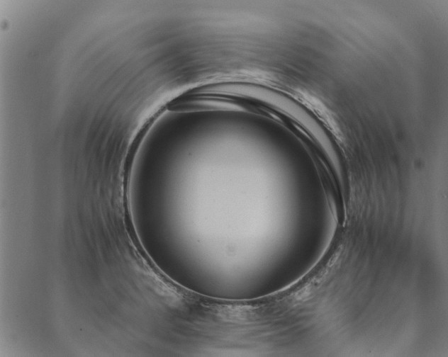 X0000090451184200707131220