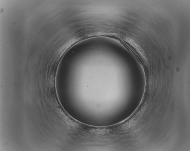 X0000090451185200707131220