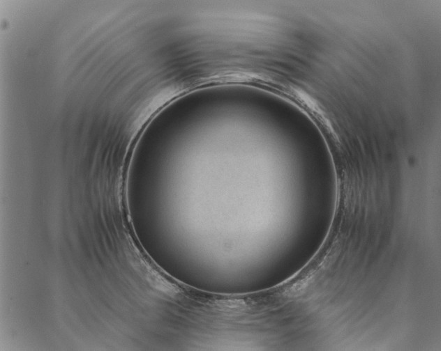 X0000090451186200707131220