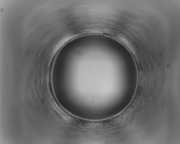X0000090451187200707131220