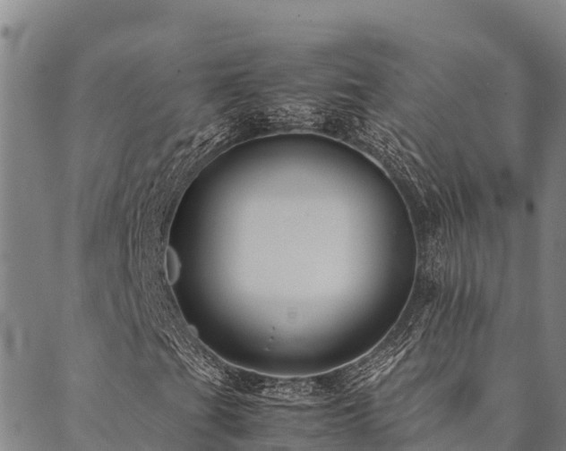 X0000090451201200707131219