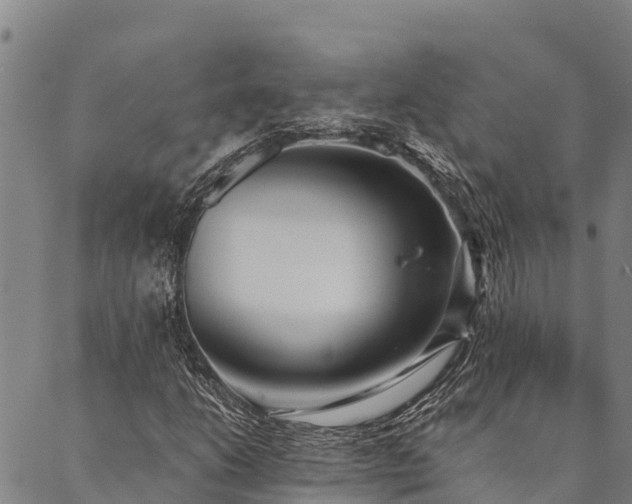 X0000090451206200707131220