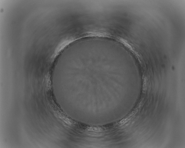 X0000090451215200707131220