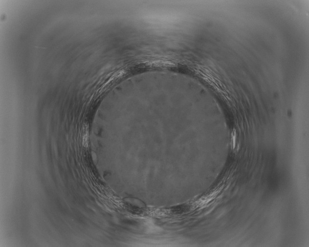 X0000090451251200707131219