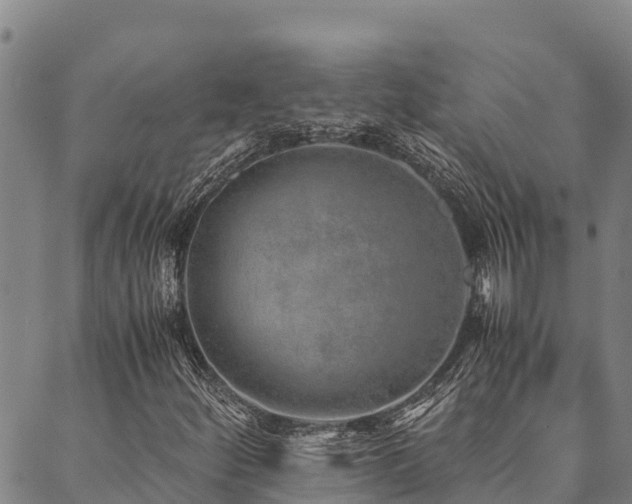 X0000090451252200707131219