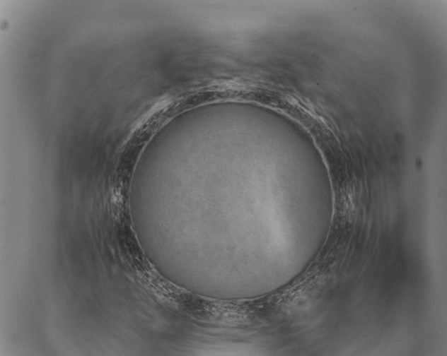 X0000090451254200707131219