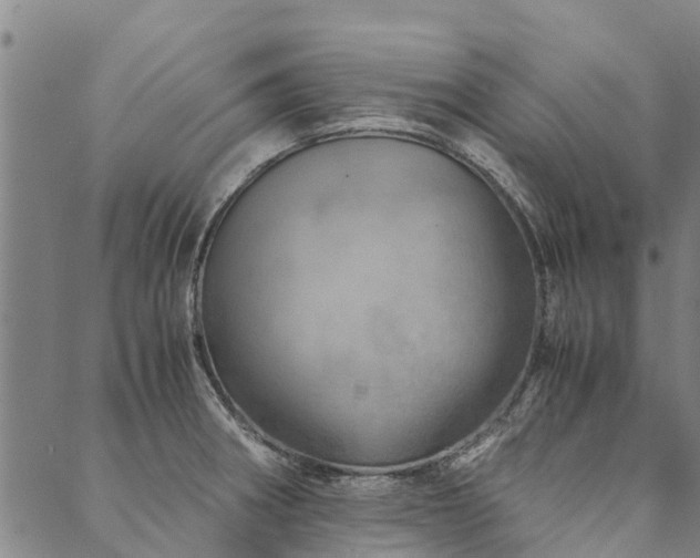 X0000090451282200707131219