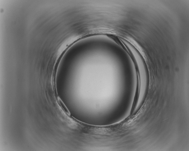 X0000090451293200707131219
