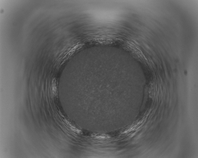 X0000090451298200707131218