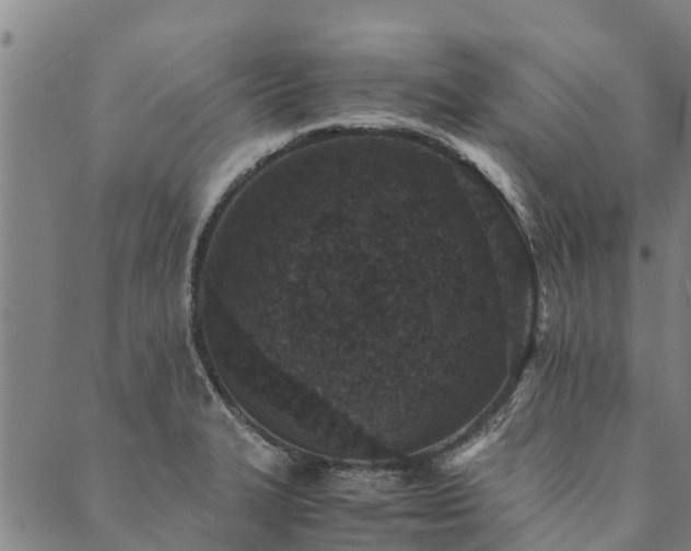 X0000090451327200707131218