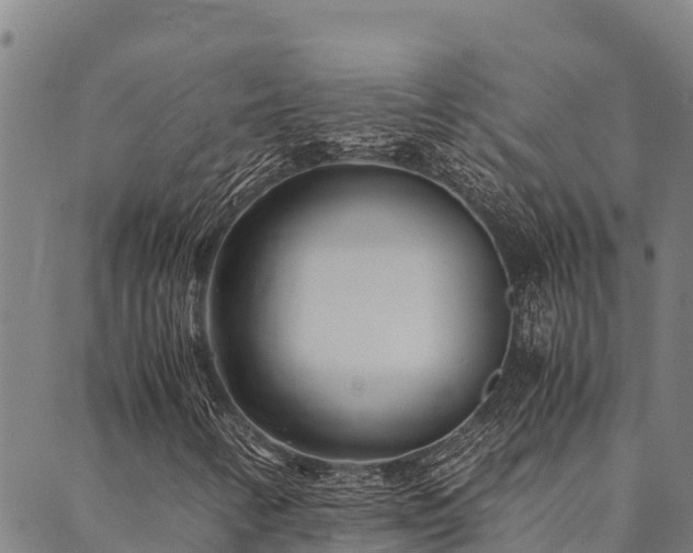 X0000090451346200707131218