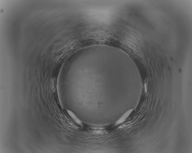 X0000090451347200707131218