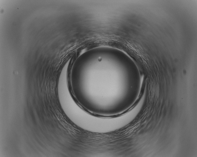 X0000090451348200707131218