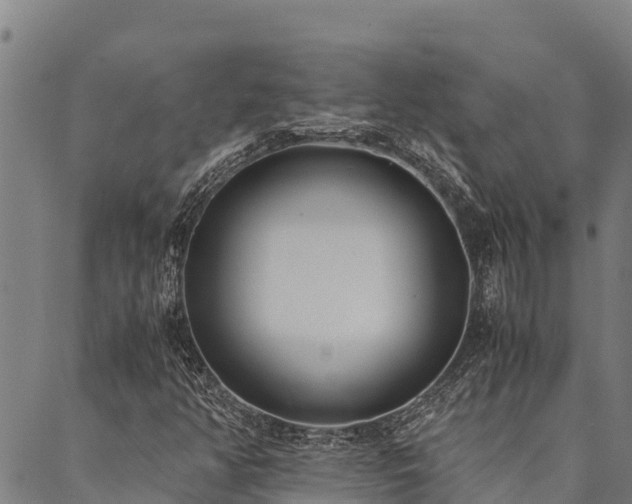 X0000090451350200707131218