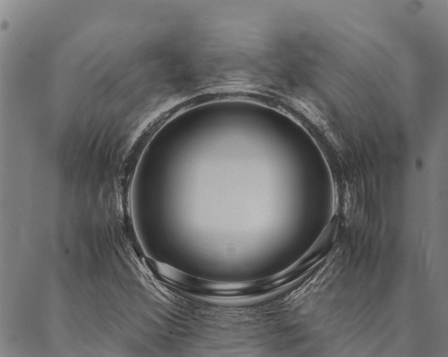X0000090451356200707131218