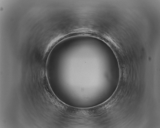 X0000090451358200707131218
