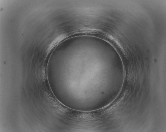 X0000090451362200707131218