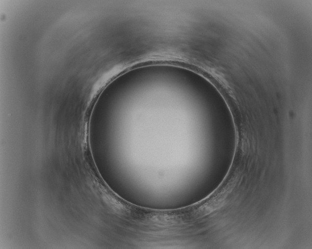 X0000090451366200707131218