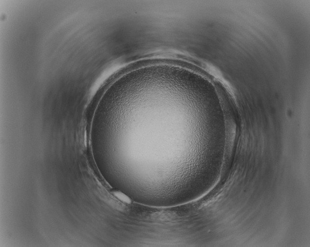 X0000090451368200707131217
