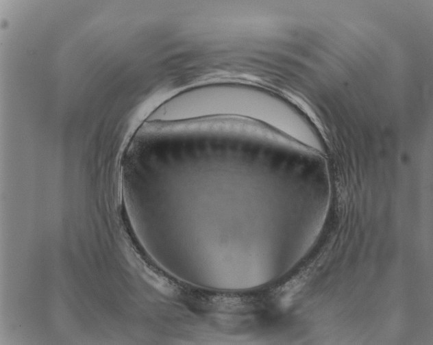 X0000090451371200707131217