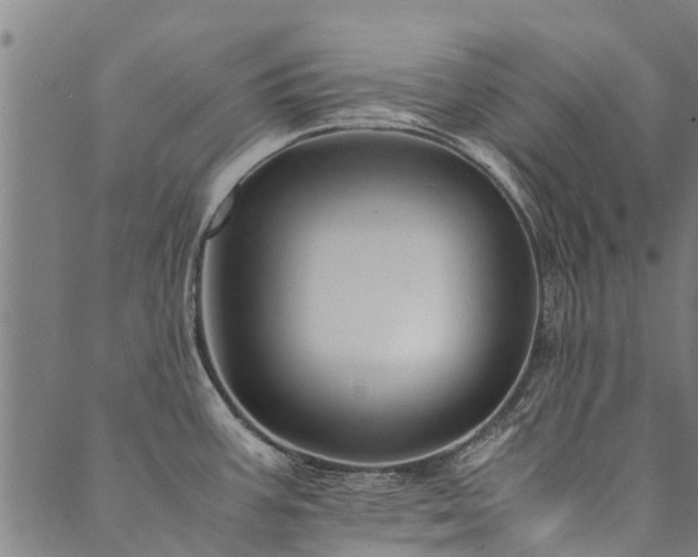 X0000090451387200707131217