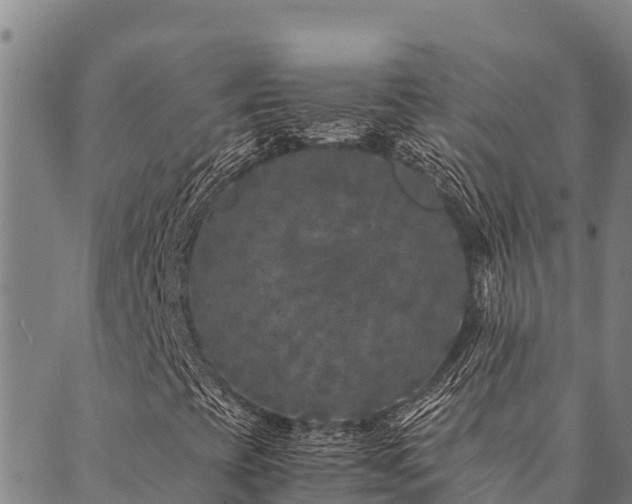 X0000090451393200707131216