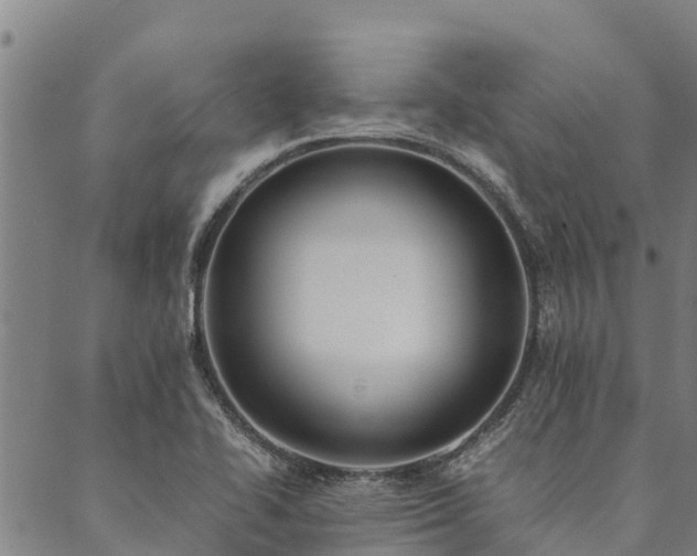 X0000090451414200707131217