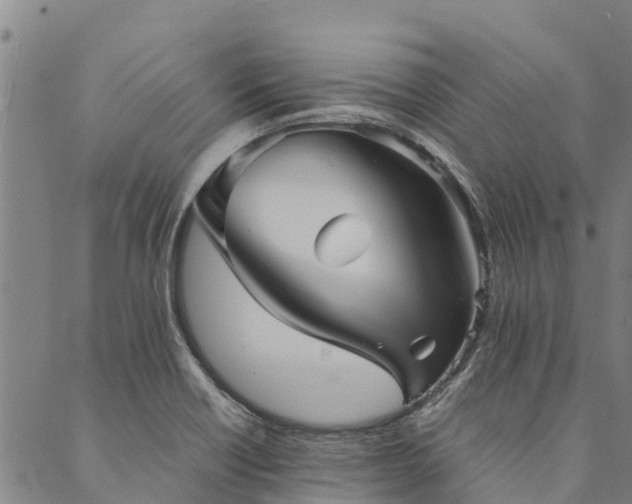 X0000090451418200707131217