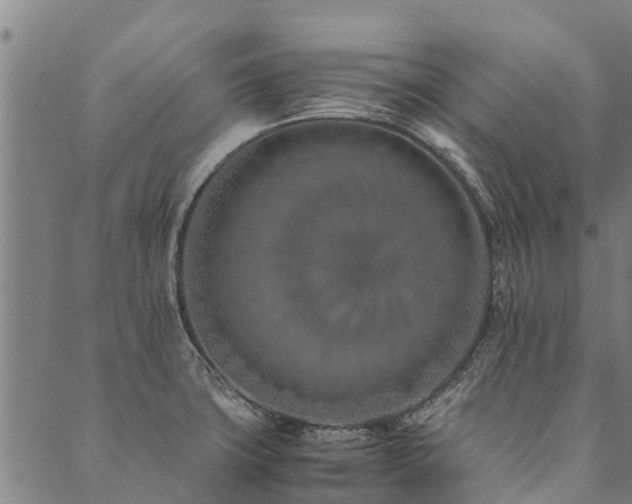 X0000090451427200707131217