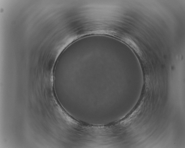 X0000090451428200707131217