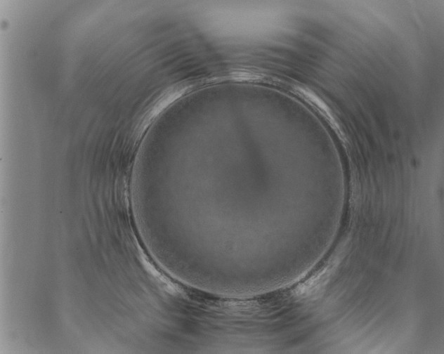 X0000090451433200707131217