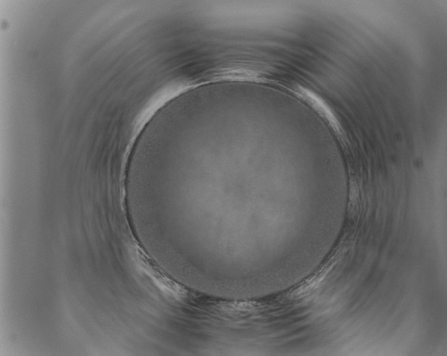 X0000090451435200707131217