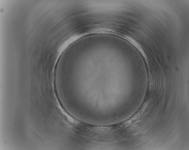 X0000090451437200707131217