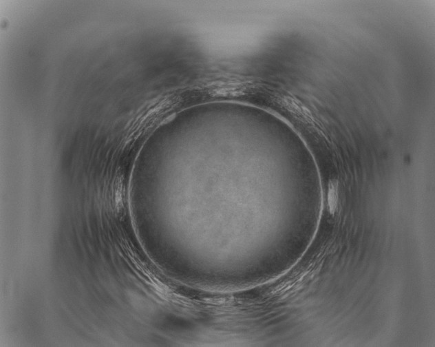 X0000090451444200707131216