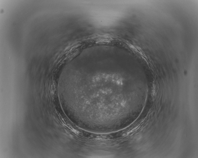 X0000090451445200707131216
