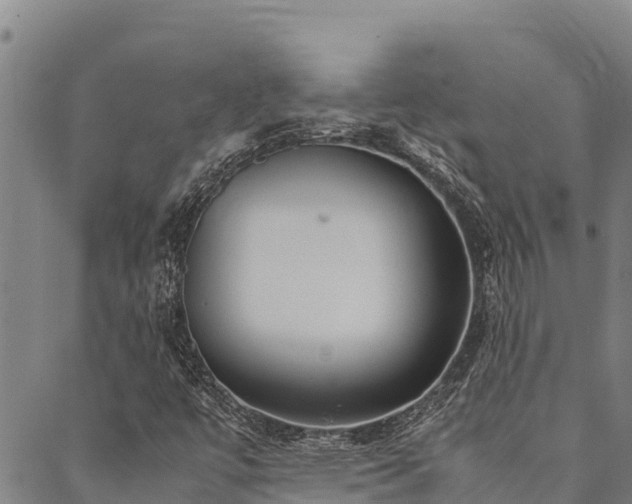 X0000090451447200707131216