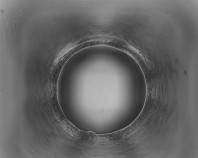 X0000090451448200707131216