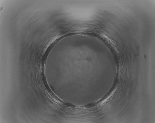 X0000090451449200707131216