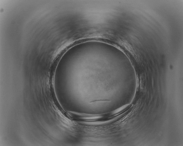 X0000090451452200707131216