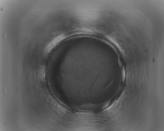 X0000090451455200707131216
