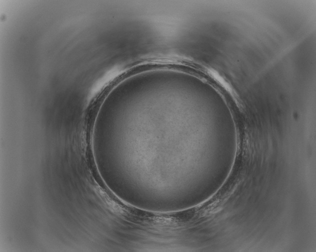 X0000090451456200707131216