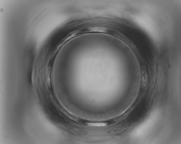 X0000090451487200707131216
