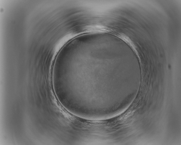 X0000090451488200707131216