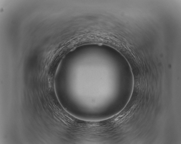X0000090451490200707131215