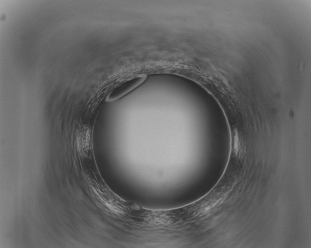 X0000090451492200707131215