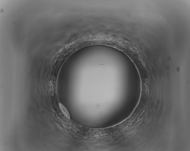 X0000090451493200707131215